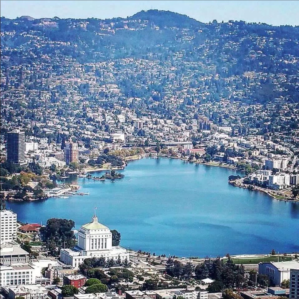 Meet your Posher, Alfred